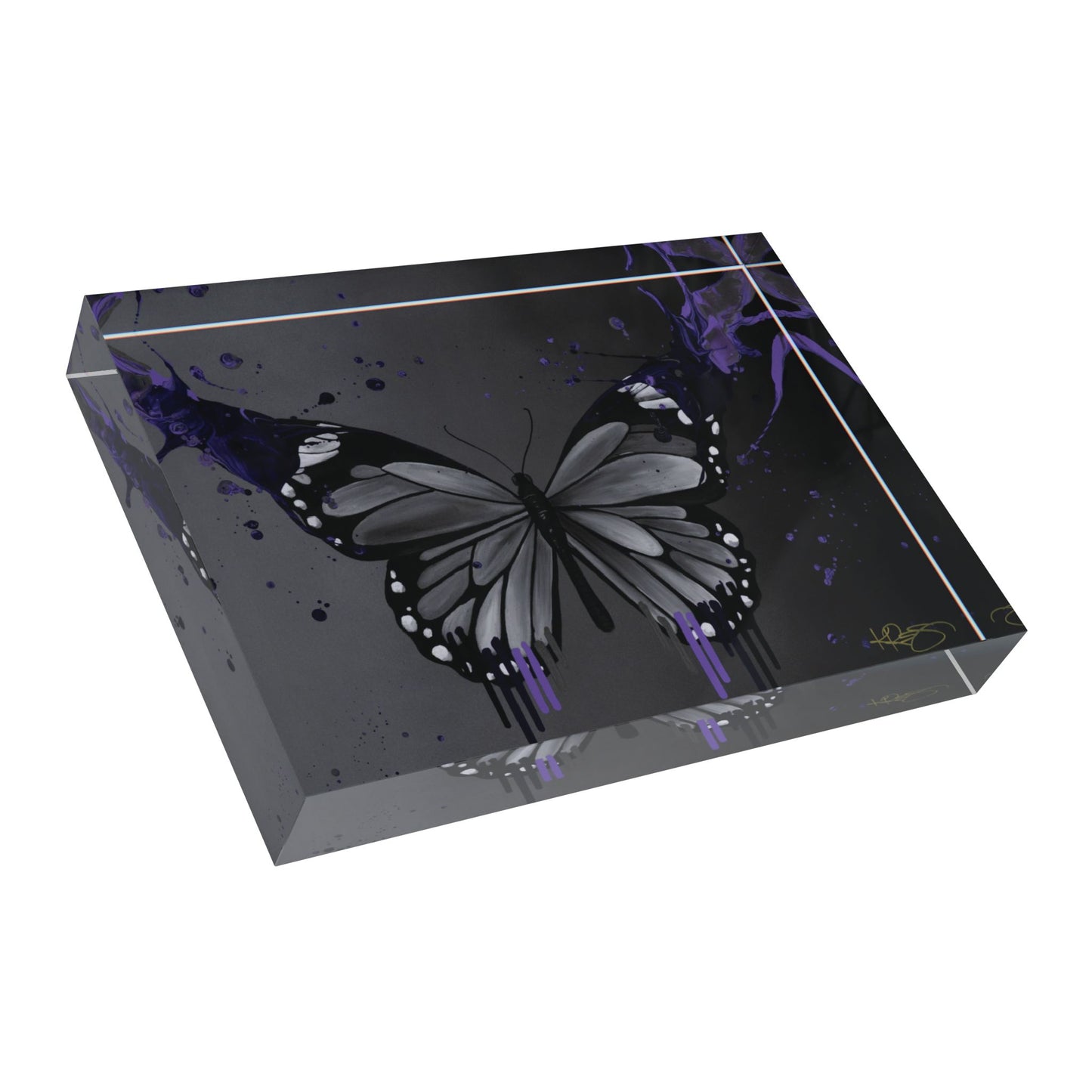 Fly with Me Kre8 Kube Acrylic Art Blocks