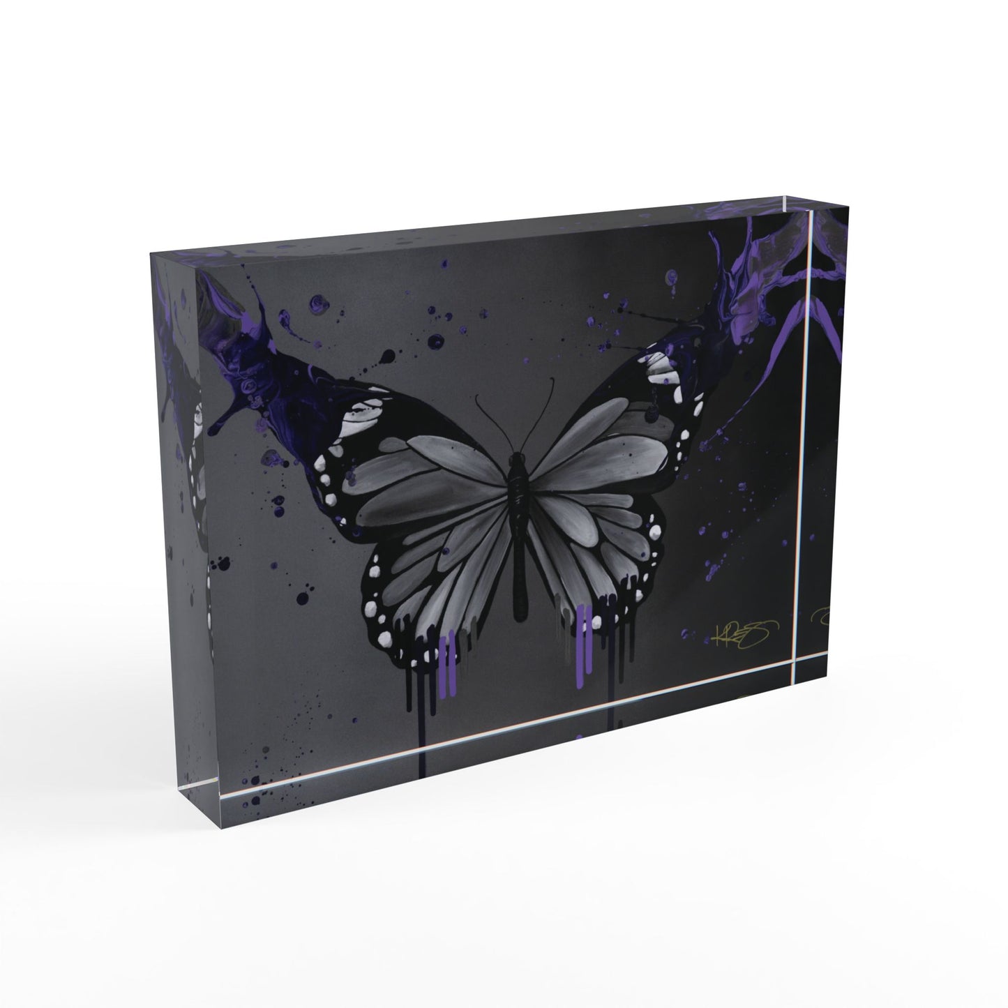 Fly with Me Kre8 Kube Acrylic Art Blocks